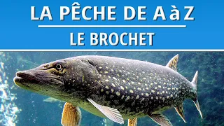 La Pêche du Brochet à la verticale et à la traine | Techniques de Pêches - DVD Complet