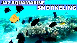 Snorkeling & feeding the fish at Jaz Aquamarine, Hurghada 🇪🇬 Egypt 🐠 🐟 🐡