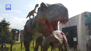 3D 180VR 4K Dangerous Tyrannosaurus Rex ; King of the dinosaurs Jurassic World T-Rex