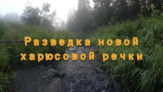 Разведка новой харюсовой речки