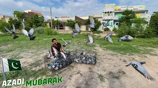 Releasing 100 Pigeons On independence day 🇵🇰