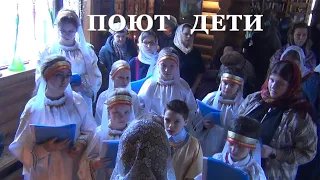 Детский хор храма святых Константина и Елены поет на Литургии 10 марта 2024, Санкт-Петербург.