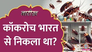 India से निकलकर दुनिया में फैले Cockroach? रिसर्च में क्या पता चला?| Cockroach History | Tarikh E730