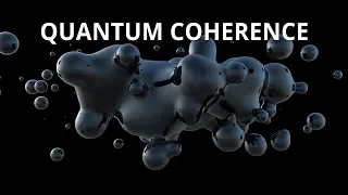 What is Quantum Coherence? - Quantum University