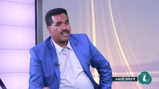 WEKETAWE : ኦዲፒ ካፈጣጠሩ ጀምሮ ችግር አለበት - ብ/ጄ ከማል ገልቹ