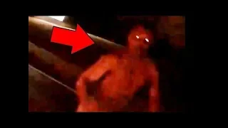 THE DEVIL RUNS AFTER THE CAR AT NIGHT. REAL FOOTAGE. HORRORS