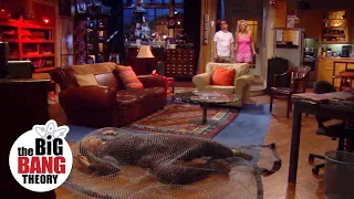 Sheldon is an Intruder | The Big Bang Theory