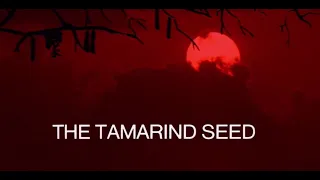 “The Tamarind Seed” (1974) Clip - “Play It Again” (extended remix) - John Barry