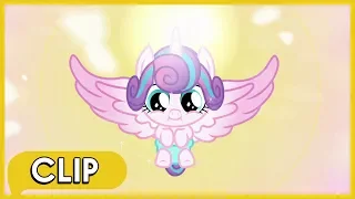 Flurry Heart's Crystalling - MLP: Friendship Is Magic [Season 6]