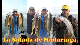 TV Nº376 17-05-2019 Pesca en La Salada de Madariaga