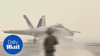 U.S. warplane downs Syrian army jet in Raqqa - Daily Mail