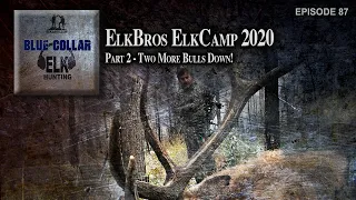 Part 2 - ElkBros Elk Camp 2020! - Two More Bulls Down!