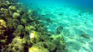 Gopro Dive Housing HD HERO 2 Snorkelling