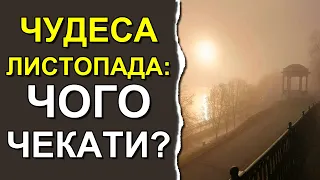 Чим здивує погода у листопаді 2023: Погода на місяць