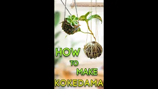 KOKEDAMA🌿🌿 ! Have You Ever Thought Making One 😀