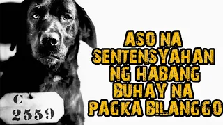 ASONG SINENTENSYAHAN NG HABANG BUHAY NA PAGKA BILANGGO