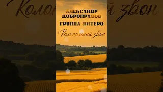 ГОСПОДИ, ПОМИЛУЙ! Колокольный звон над Россией слышен 🔔 #добронравов #пятеро #shorts