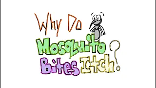 Why Do MOSQUITO BITES ITCH? [SIMPLIFIED]
