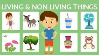 Living and Non-living Things for Kids | Living Things | Non-living Things