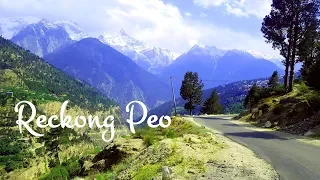 Sangla to Kalpa - Reckong Peo | Kinnaur Road Trip