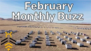 February 2024 Monthly Buzz