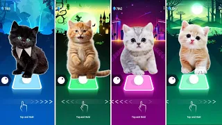 CUTE CATS WEDNESDAY BLOODY MARY 🆚 BTS BUTTER 🆚 BLACKPINK LISA MONEY 🆚 COOL CAT X BTS MY UNIVERSE