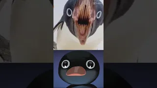 penguin are cute but the mouth is problem