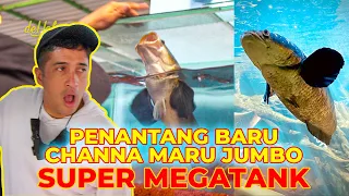 #EPS61 PENANTANG CHANNA MARU JUMBO SUPER MEGATANK..!