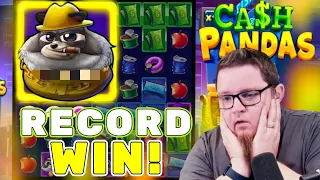 💰 CASH PANDAS RECORD WIN 🐼💥