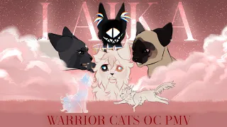 ✧ LAIKA ✧ - warrior cats OC PMV