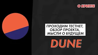 Проходим тестнет Dune Analytics, обзор проекта, потенциальный дроп?