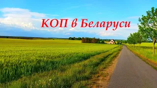 КОП в Беларуси д  Плиговки урочище Якубова, Овчинниково, Могили, Мушино