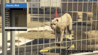 GTA 5 ALL Playable Animals & Appearances