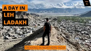 Trekking and Sightseeing in LEH, LADAKH | Indian Himalayas