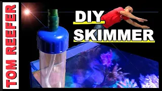 Diy Skimmer - (SNEAK PEAK) - FROM A GRAVEL VACUUM