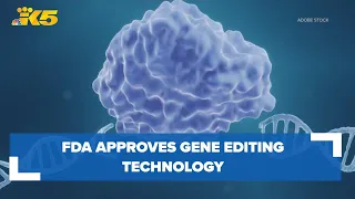 FDA approves gene editing technology to treat sickle cell disease: HealthLink