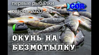 Окунь на безмотылку. Первая моя зимняя рыбалка 2020