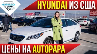 Hyundai из США в Грузии. Реальные цены на авторынке Autopapa.