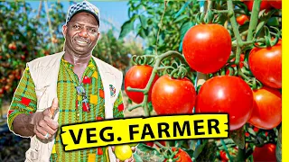 Why i left  UK to invest in Gas ⛽ &  farming in The Gambia