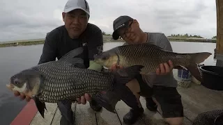 Go Pro Hero 5 Video !!! Awesome BSR2- Mekong Catfish Fishing Thailand- - BKKGUY