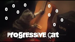 Progressive Cat 0-0-0-0