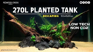 Rescaping 270L Planted Tank #plantedcreek #newvideo #subscribe #aquascape