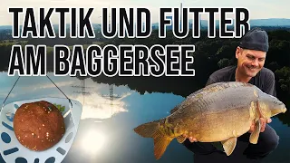 Futter, Taktik, Tackle am Baggersee | Karpfenangeln | Monsterbrassen