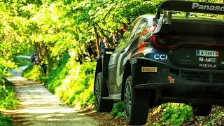 WRC Croatia Rally 2024 Highlights