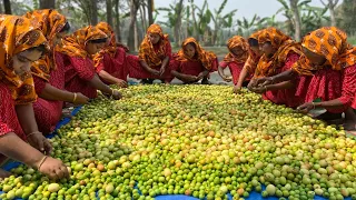 Jujube Chutney & Khichdi - Boroi Achar - Jujube Collect From Tree & Cooking for Villagers