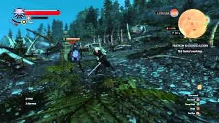 The Witcher 3: Easy lesser red mutagen