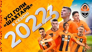 Усі голи Шахтаря в сезоні-2022/23 | Бондаренко, Судаков, Швед, Келсі, Мудрик та інші