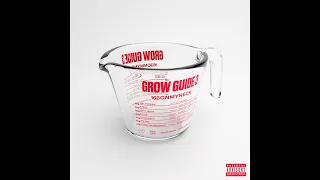 163ONMYNECK – GROW GUIDE 3 (Альбом, 2023)