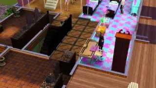 The Sims 3 - Sim Get Electrocuted