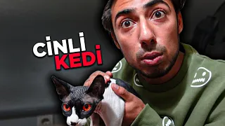 İÇİNE ŞEYTAN KAÇAN KEDİNİN CİNİNİ ÇIKARTTIM !! (Çarpıldım)